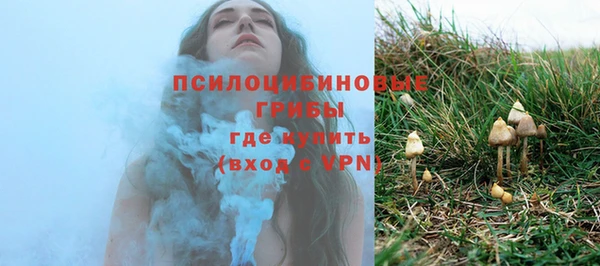 метамфетамин Козловка