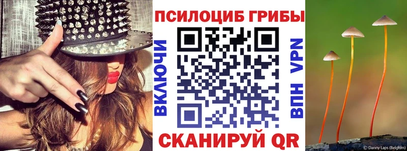 Псилоцибиновые грибы MAGIC MUSHROOMS  hydra ССЫЛКА  Ковдор  где купить наркоту 